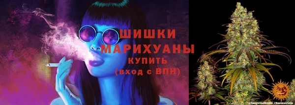 гидра Армянск