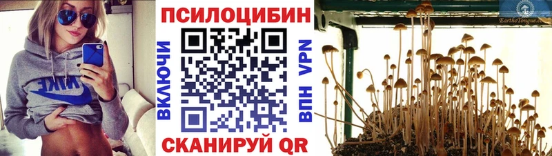 Галлюциногенные грибы ЛСД  Балабаново 