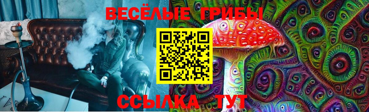 Галлюциногенные грибы ЛСД Балабаново
