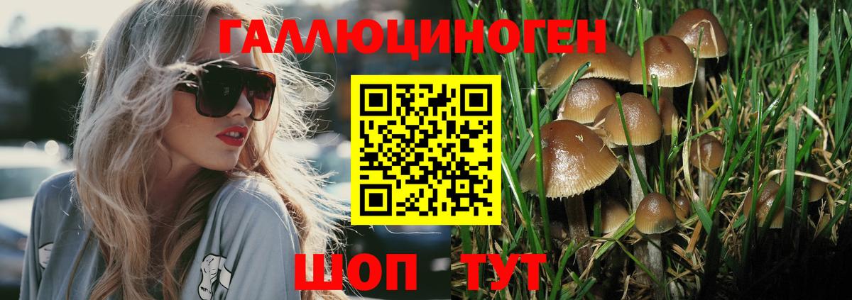 Галлюциногенные грибы мухоморы  Галлюциногенные грибы GOLDEN TEACHER  Вход с VPN  Балабаново 