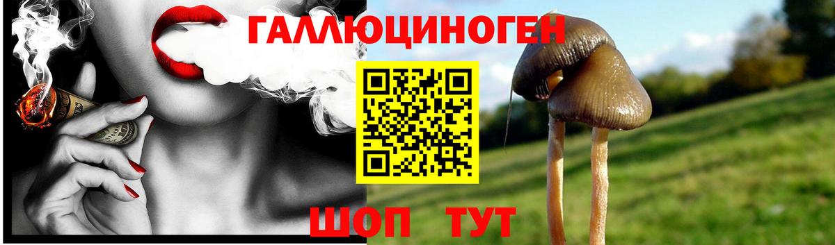 Галлюциногенные грибы MAGIC MUSHROOMS  Балабаново 